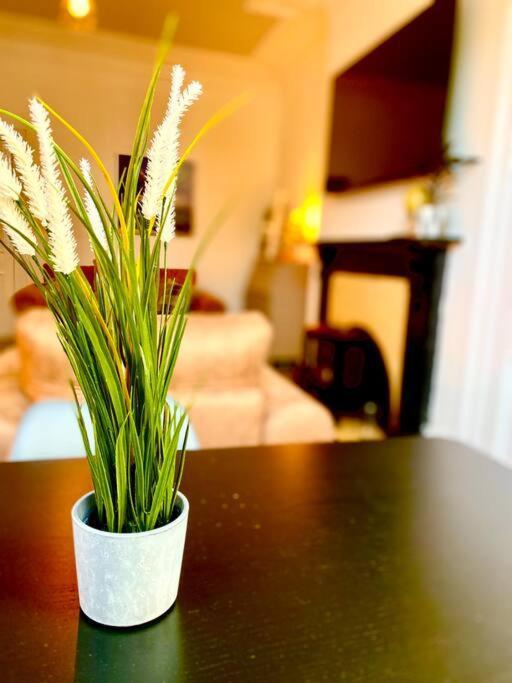 Anchored Homely Apartment In Historic Centre Paisley Eksteriør billede
